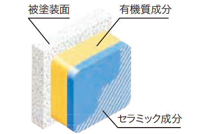 塗膜の完成